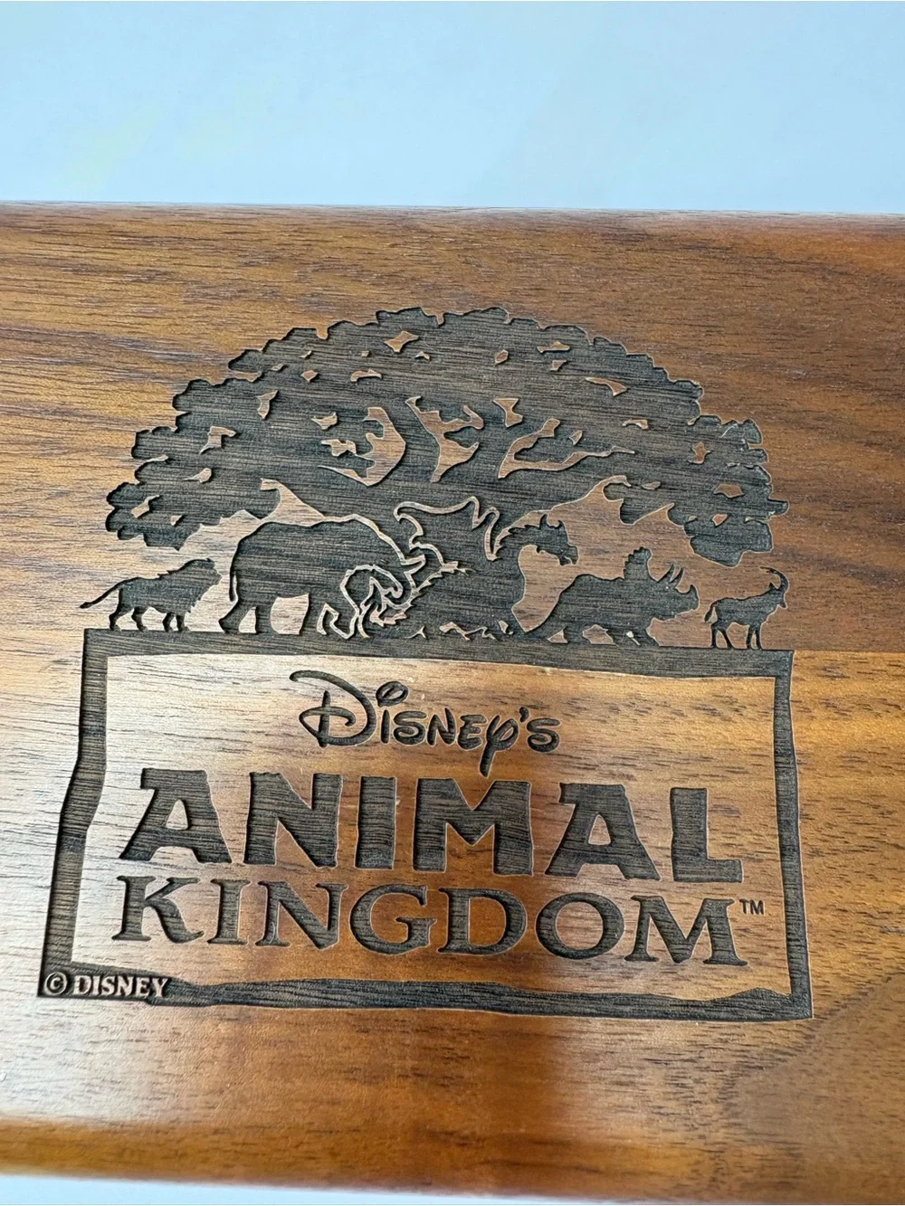VNTG Disney Animal Kingdom Wooden Engraved Trinket Storage Keepsake‎ Jewelry Box